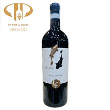 In & Out – Collefrisio (Cá vàng)