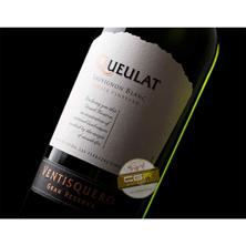 Queulat sauvignon blanc