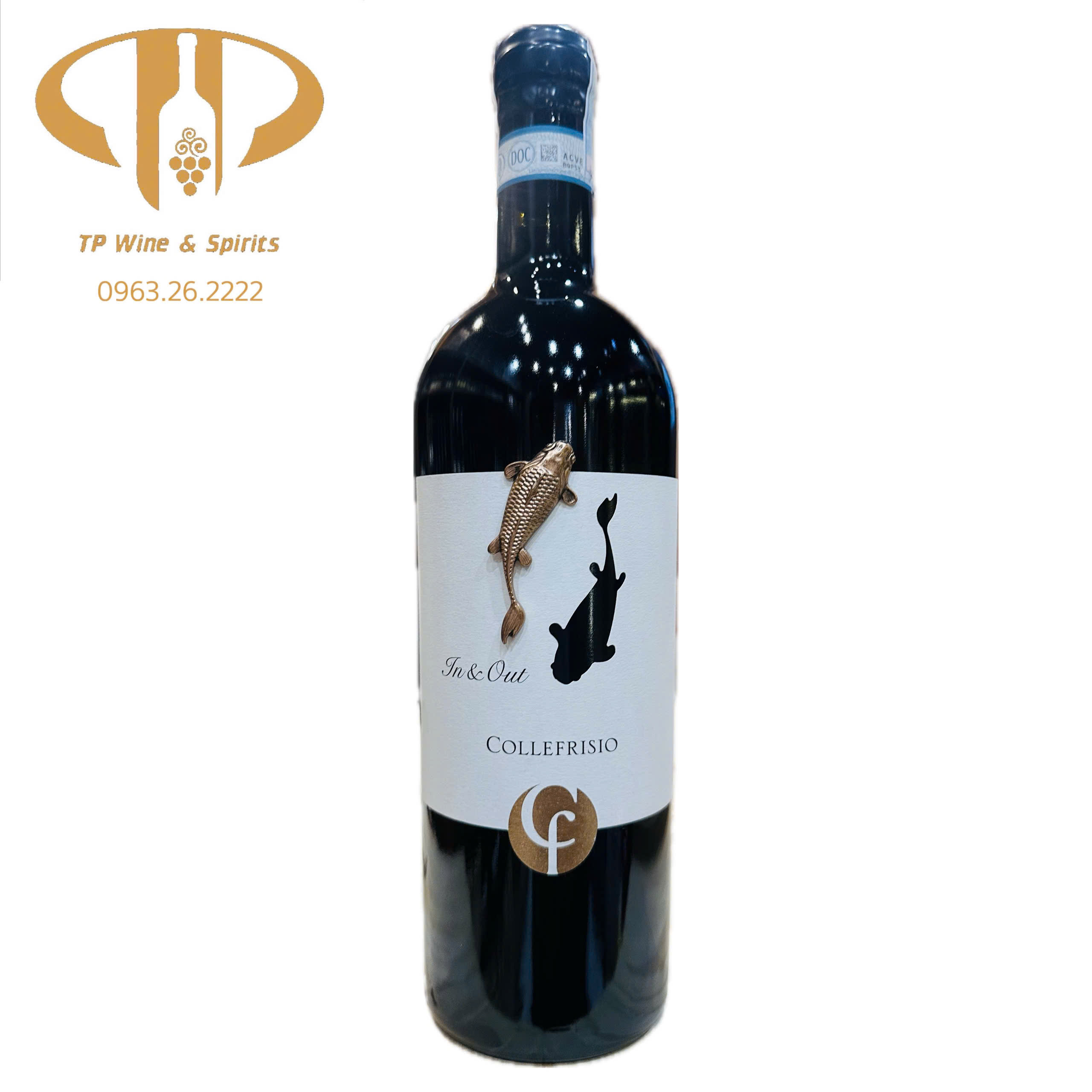 In & Out – Collefrisio (Cá vàng)